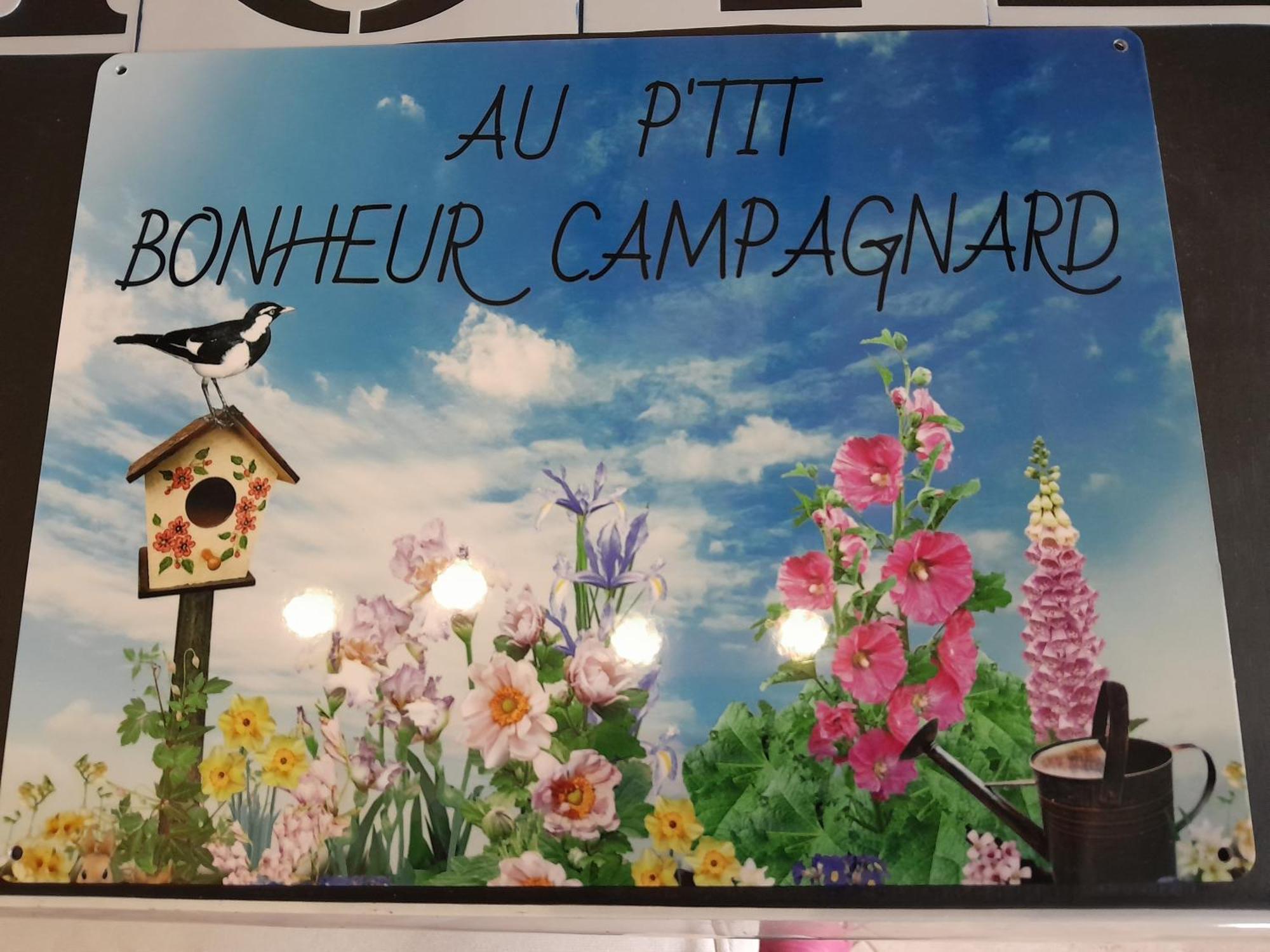 Chambres D Hotes Au P'Tit Bonheur Campagnard Jarnosse Exterior foto