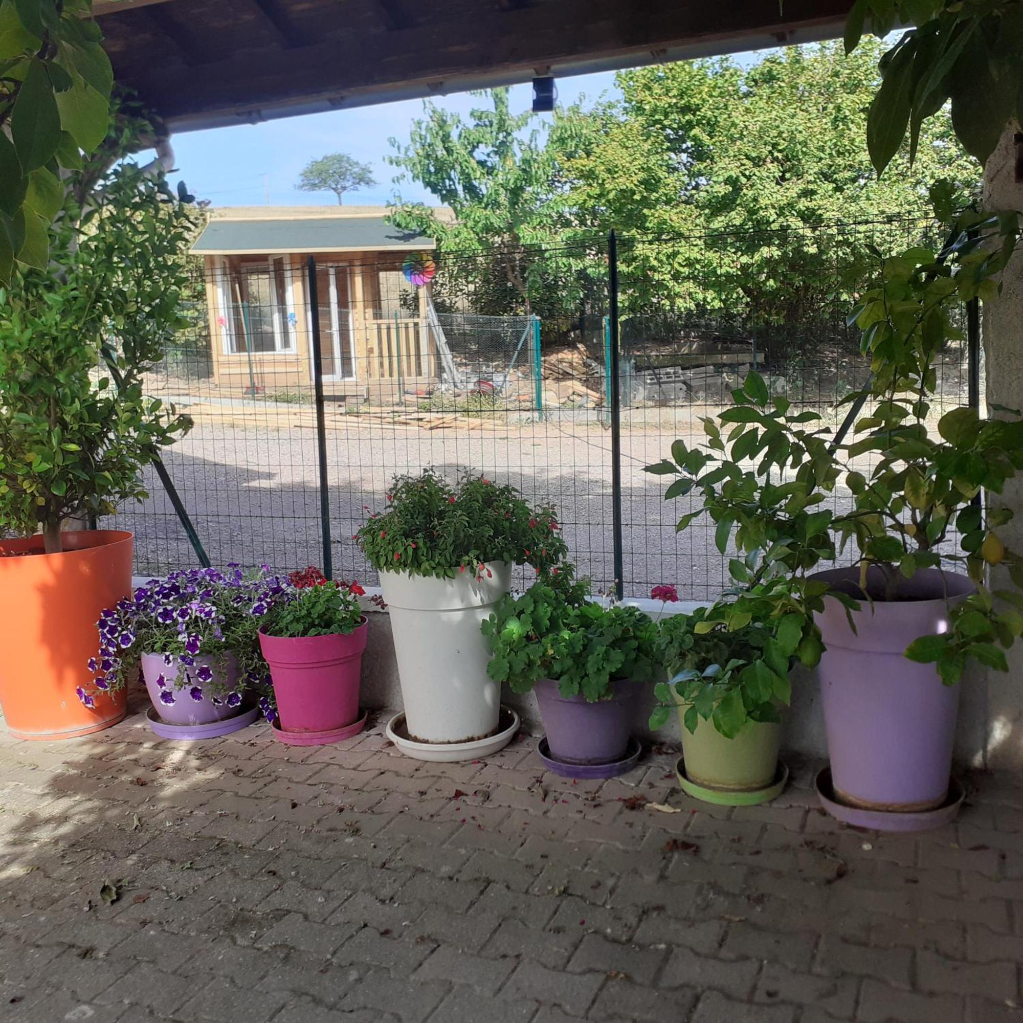 Chambres D Hotes Au P'Tit Bonheur Campagnard Jarnosse Exterior foto